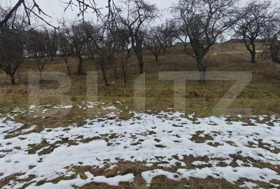 Teren de 1268 mp, în Mihai Viteazu - 2