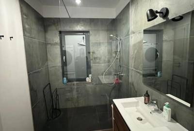 Casa tip duplex de inchiriat, langa padure,str. Matei Millo, Pipera - 8