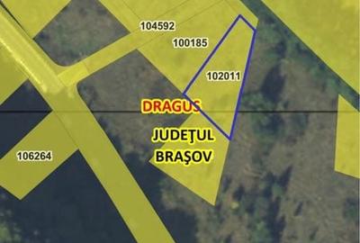 Spațiu comercial, în Drăguș - 4