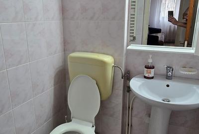Apartament cu 3 camere decomandat, mobilat în Dristor - 9