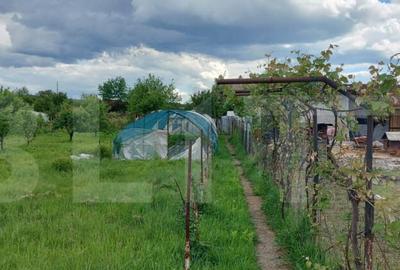 Casă cu 6 camere cu Teren 2800 Mp în Abator