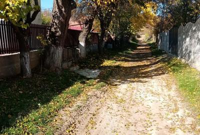 Casă cu 2 camere în Central - 4