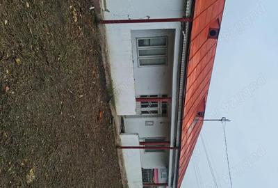 Casă în Garoafa - 5