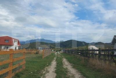 Teren de vanzare in Rasnov zona Glejerie, 10.000 mp - 2