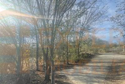 Teren intravilan situat in zona Agigea-Poarta 10 - 2