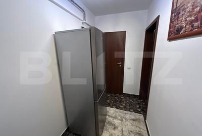 Apartament 1 camera, 30 mp, zona Cug - 12