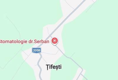 Spațiu comercial, în Țifești - 1