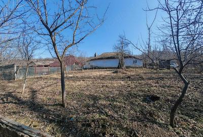 Casă cu Teren 720 Mp în Crihan - 1