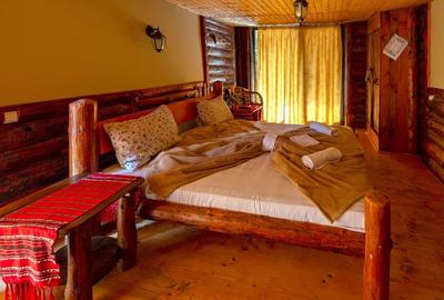 Afacere la cheie - Pensiunea Raiul de pe Râu - Munții Bucegi - 10