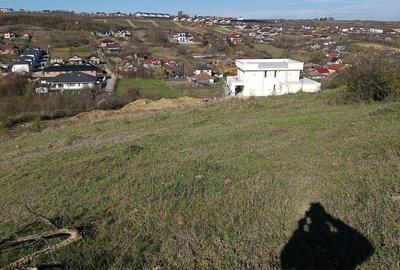 Spațiu comercial, în Vișan - 6