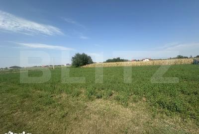 Teren de 1300 mp, în Central