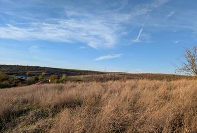 Teren Construcții intravilan de 1835 mp, în Pielești - 2