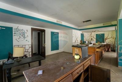 Hotel/Pensiune, de 961 mp, în Valea Râșnoavei - 10