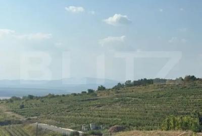 Teren de 1700 mp, în Seciu - 4