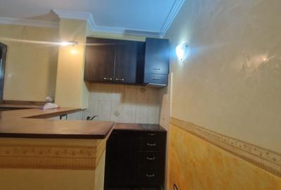 Inchiriere Garsonieră tip studio – Centru Istoric Brașov - 14