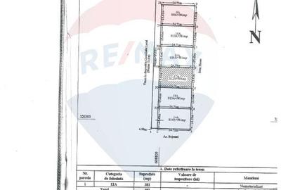 Vanzare teren intravilan parcelat, in Branesti langa - Autostrada A2 - 13