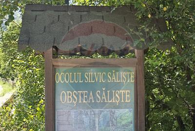 Teren de 4000 mp, în Păscoaia - 21