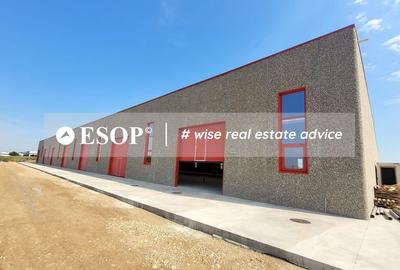 Hale industriale, parc modern, Rudeni, Chitila, Ilfov- ID 15462 Hale industriale, parc modern, Rudeni, Chitila, Ilfov- ID 15462 - 21