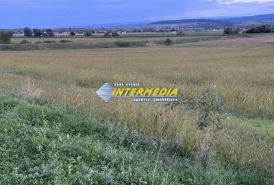Teren Construcții intravilan de 2300 mp, în Mereteu - 6