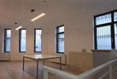 Casa individuala de zona Domenii - 5