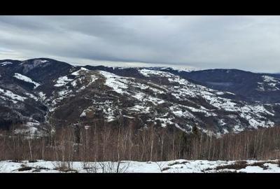 Spațiu comercial, în Muntele Rece - 1