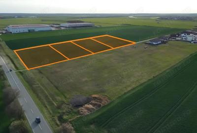 Sanandrei - Loturi Industrial: 2000-3000 mp - P.U.Z. - utilit.complete - 1