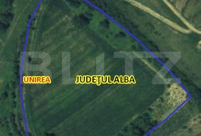 Teren intravilan, 21.450 mp, utilitati, acces autostrada, sat Dumbrava - 2
