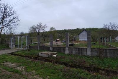 Teren Construcții intravilan de 4192 mp, în Sântelec