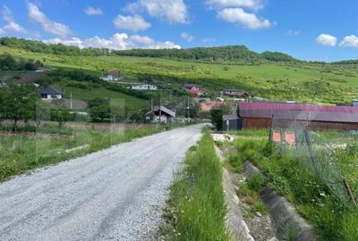 Teren de vanzare 1917 mp, zona Valea Jelnei - 5