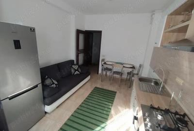 Apartament cu 2 camere semidecomandat în Valea Oltului - 6