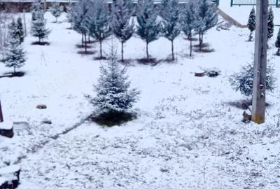 Casă cu 2 camere în Mânzălești - 7