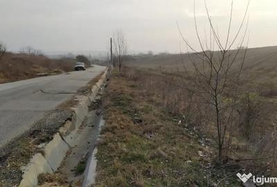 Teren de 10000 mp, în Pielești - 3
