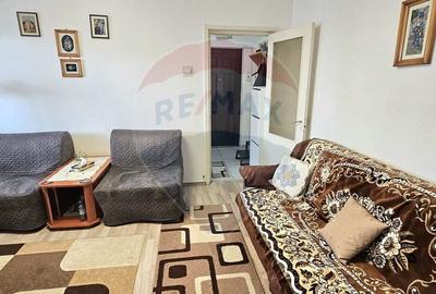 Apartament cu 2 camere semidecomandat, mobilat în Milcov - 7