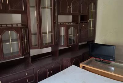 Sanandrei Central Casa 4 Camere - 13