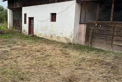 Casă cu 3 camere în Sculia - 6