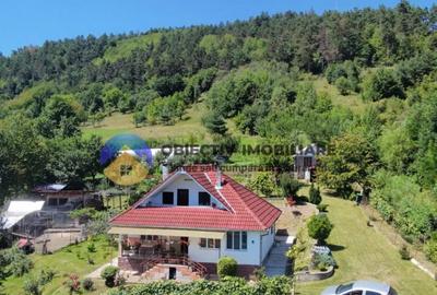 Casa + teren de vanzare - Garcina
