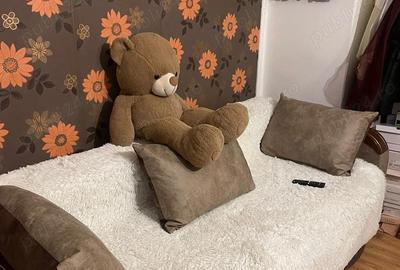 Apartament cu 2 camere decomandat în Central - 6