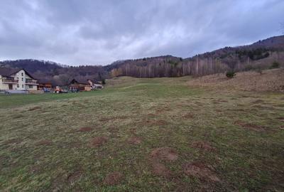 Teren Construcții extravilan de 10500 mp, în Râșnov
