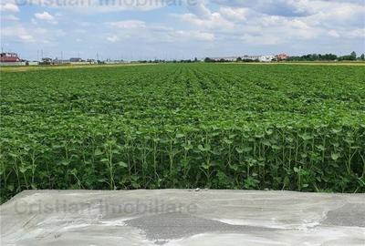 Teren intravilan de 8881 mp, în Cazasu - 3