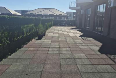 SPATIU COMERCIAL LIPIT PENNY - 6