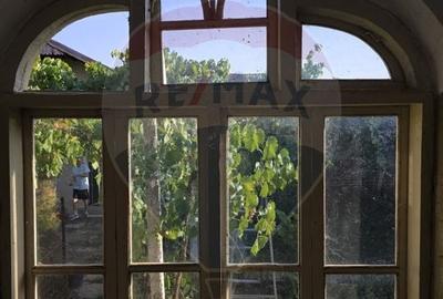 Casa noua + casa veche boiereasca renovabila - 7