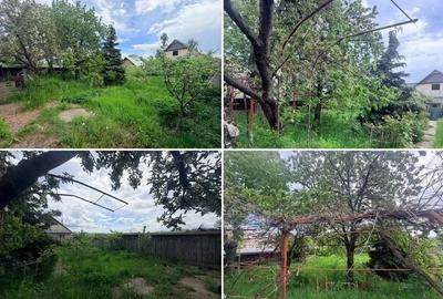 Casă cu Teren 500 Mp în Filioara - 5