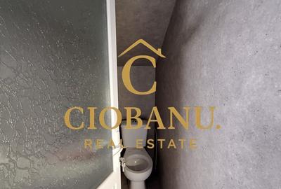 Hala de vanzare in Racari de Jos - 12