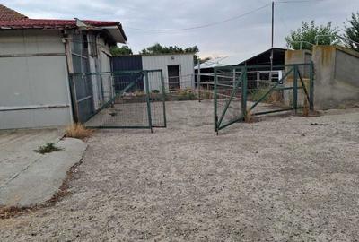 REC3001535 Inchiriere spatiu comercial I camere frigorifice I 40 min Bucuresti - 15