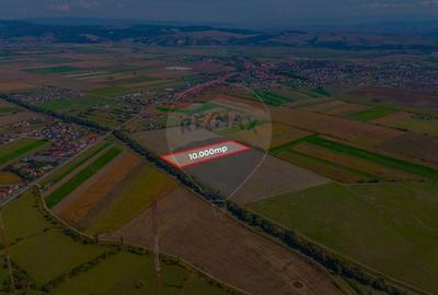 Teren 10,000mp Bod/Extravilan - 2