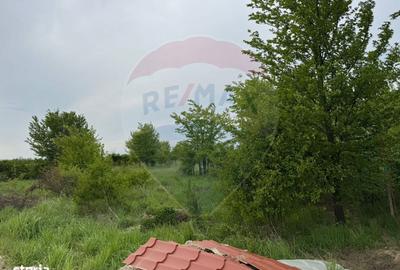 Spațiu comercial, în Ciolpani - 4