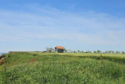 Teren de 10000 mp, în Costinești - 4