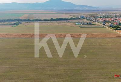 Teren industrial 6100 mp. cu PUZ in Cristian BV - 2