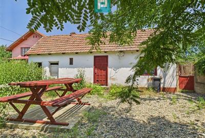 Casă cu 2 camere cu Teren 952 Mp în Miniș - 7