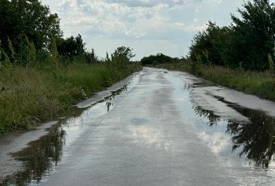 Teren intravilan de 8000 mp, în Adunații-Copăceni - 7